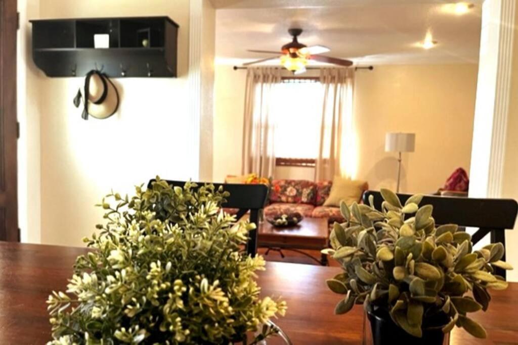 House Close To Downtown, Airport, Raymond James Stadium, And Many More Places Tampa Luaran gambar