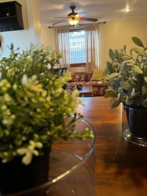 House Close To Downtown, Airport, Raymond James Stadium, And Many More Places Tampa Luaran gambar